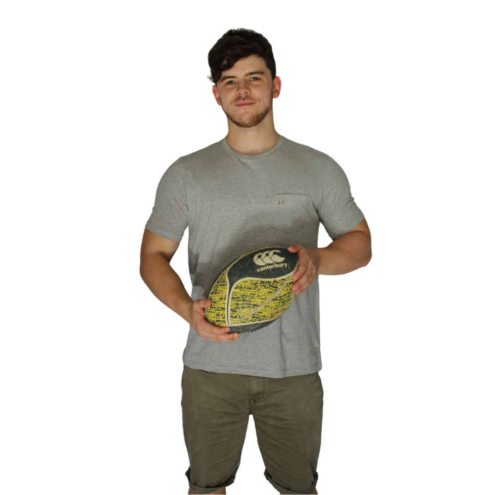 POLERA ALGODON GRIS CLARO