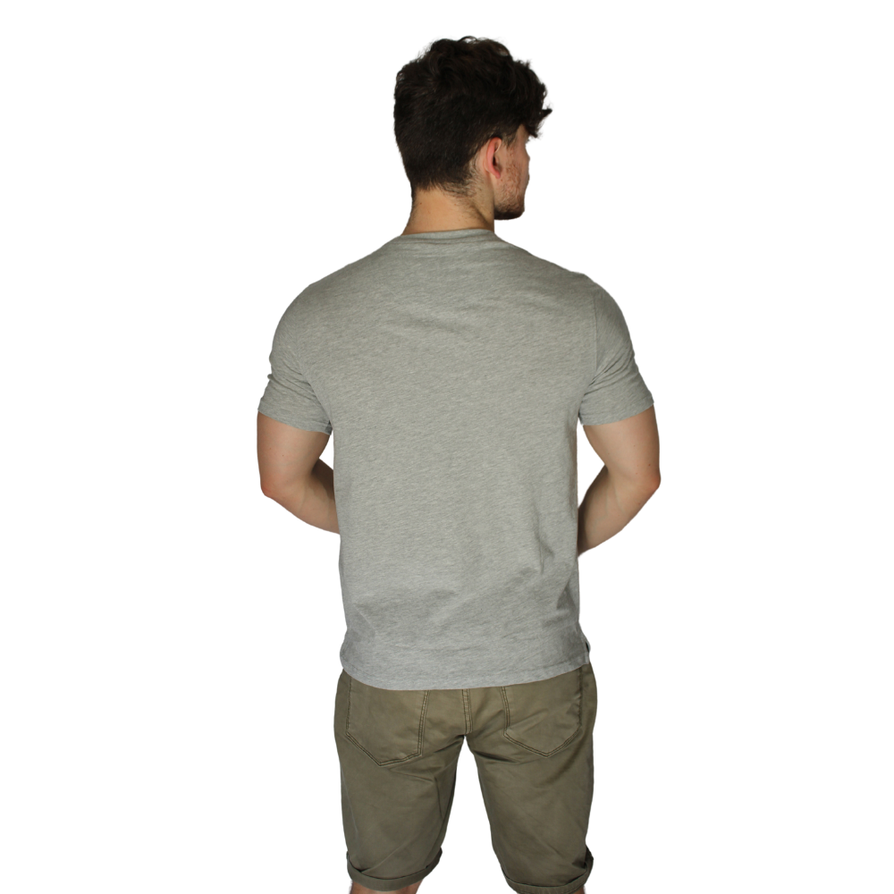 POLERA ALGODON GRIS CLARO